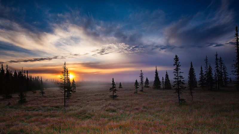 восход,туман,заморозок,коми,печора Восходphoto preview