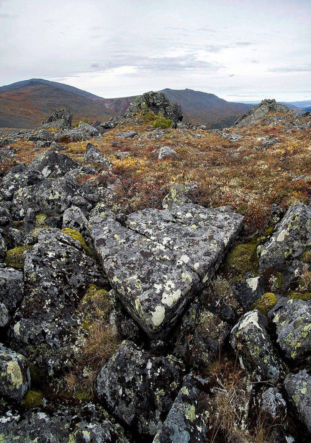 , Владимир Письмак