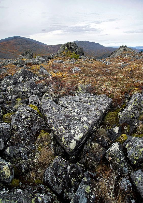 Векторphoto preview