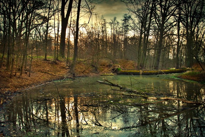 Ghosts and harpies ...;)photo preview