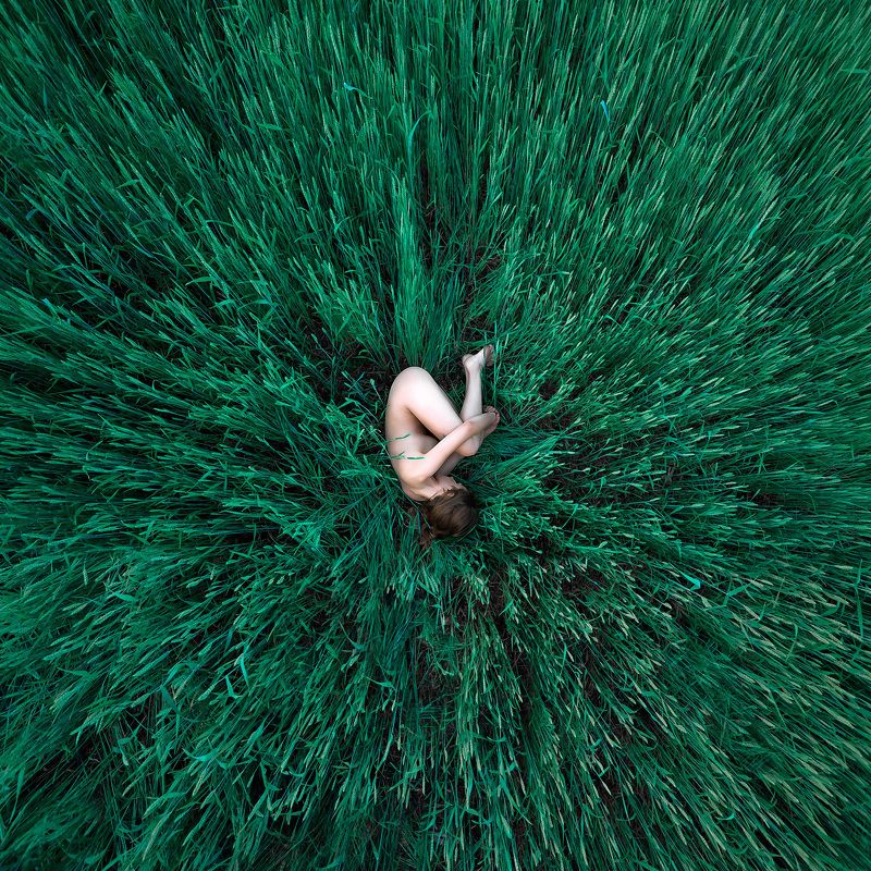 поляphoto preview