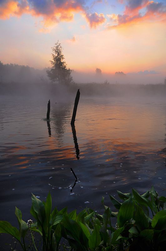 рассвет ***photo preview