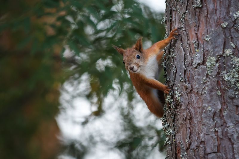 Доброе утро!photo preview