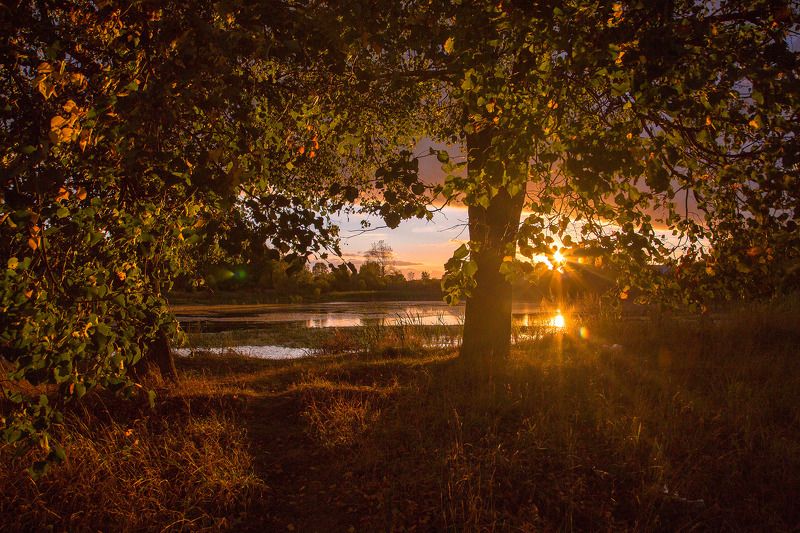 Россия, закат, Лежнево, Иваново, Ивановская область, пейзаж, природа, пруд На закатеphoto preview