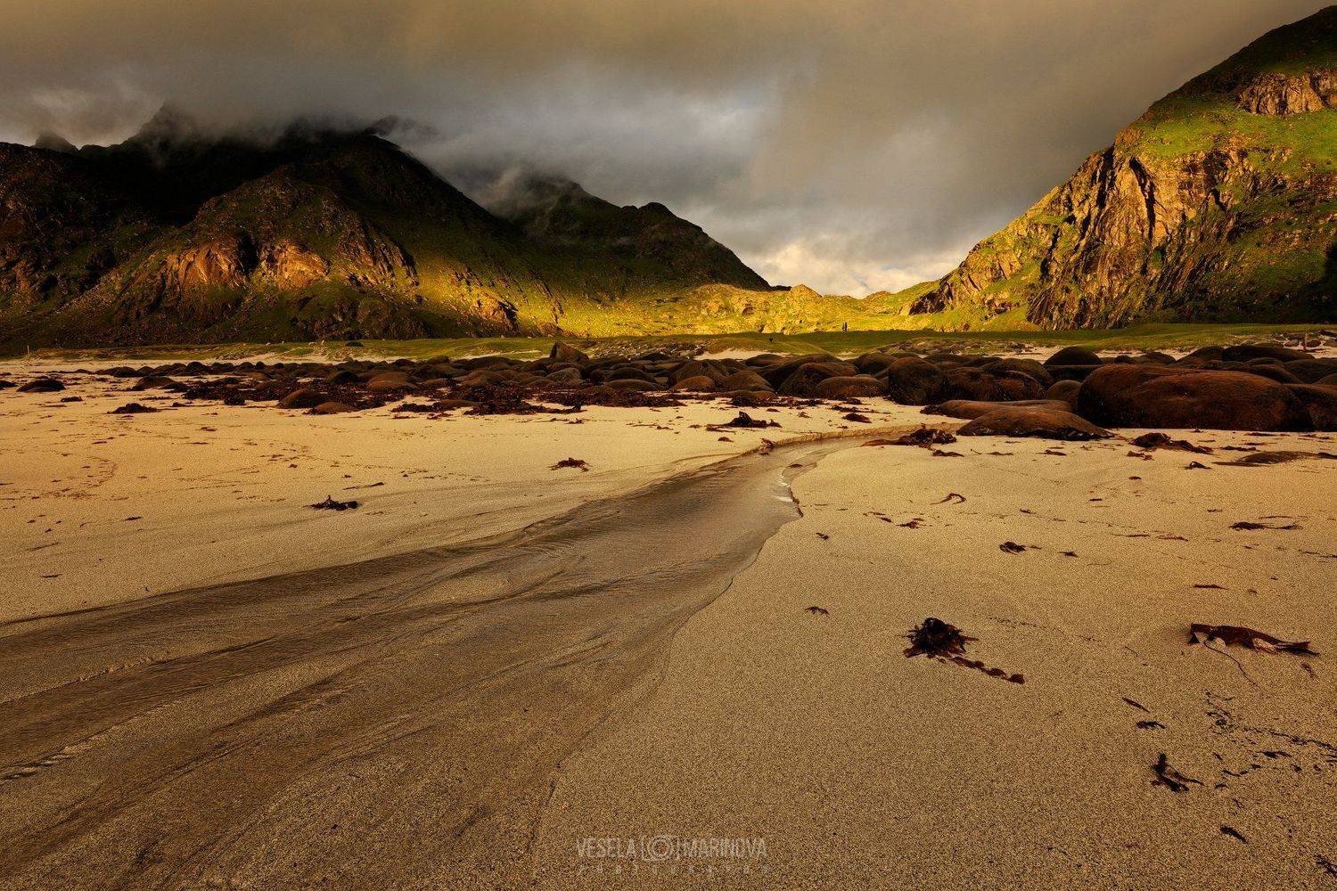 , Весела Маринова