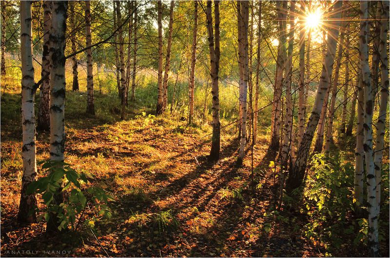 Осенние этюдыphoto preview