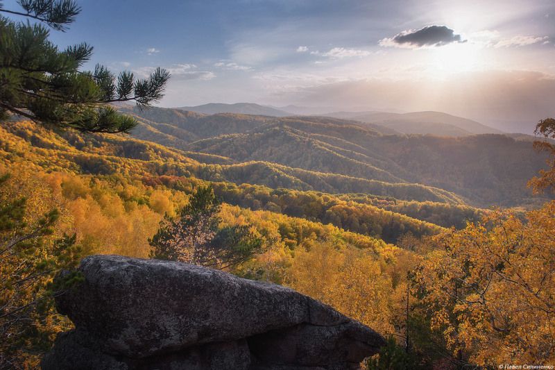 пейзаж, осень, лес, свет, солнце, желтый, алтай Чергинский фото превью