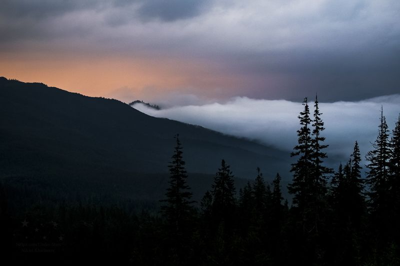 Драгобрат, Карпаты, горы, туман, облака, Украина, Закарпатье  Туманное утроphoto preview