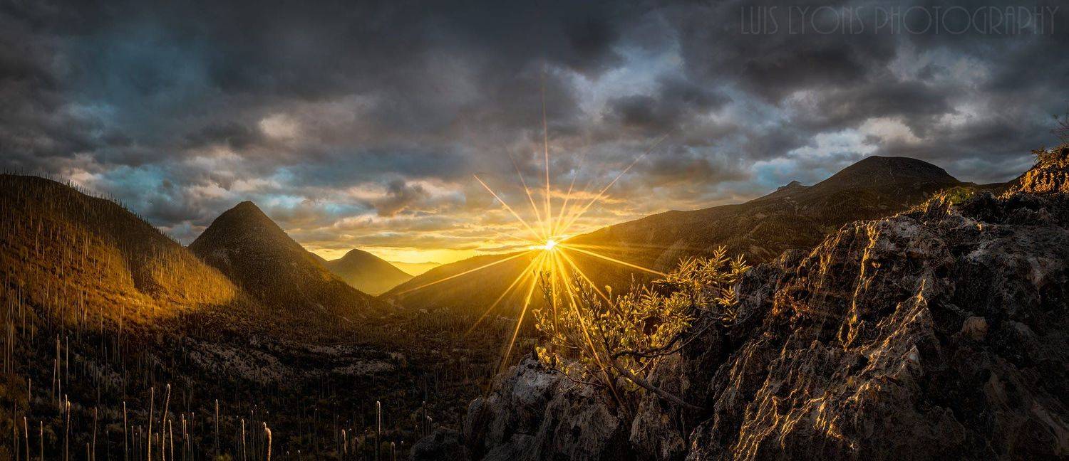 Golden Hour at Zapotitlan Valley. Автор: Luis Lyons , Luis Lyons