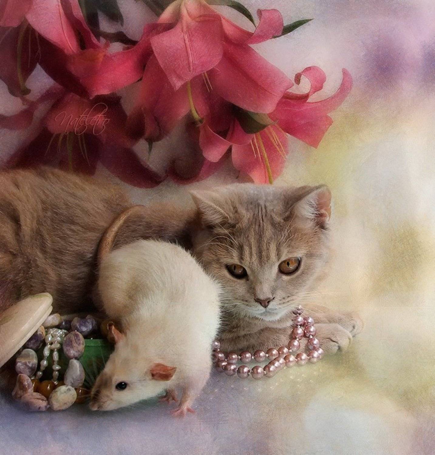 , Наталья Кузнецова (Nateletro)