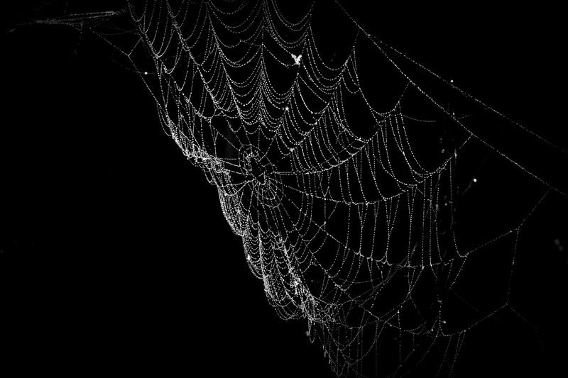 Галактика малых формphoto preview