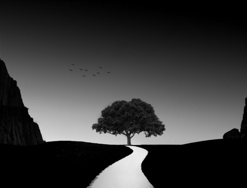 road to ..photo preview