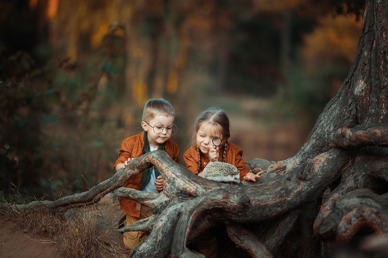 дети, осень, еж, исследователи, поход Натуралистыphoto preview