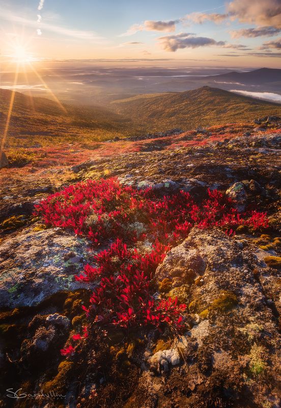 Урал, Северный Урал, Конжак, Серебрянка, Серебянский камень, осень Северный Урал рубиновыйphoto preview