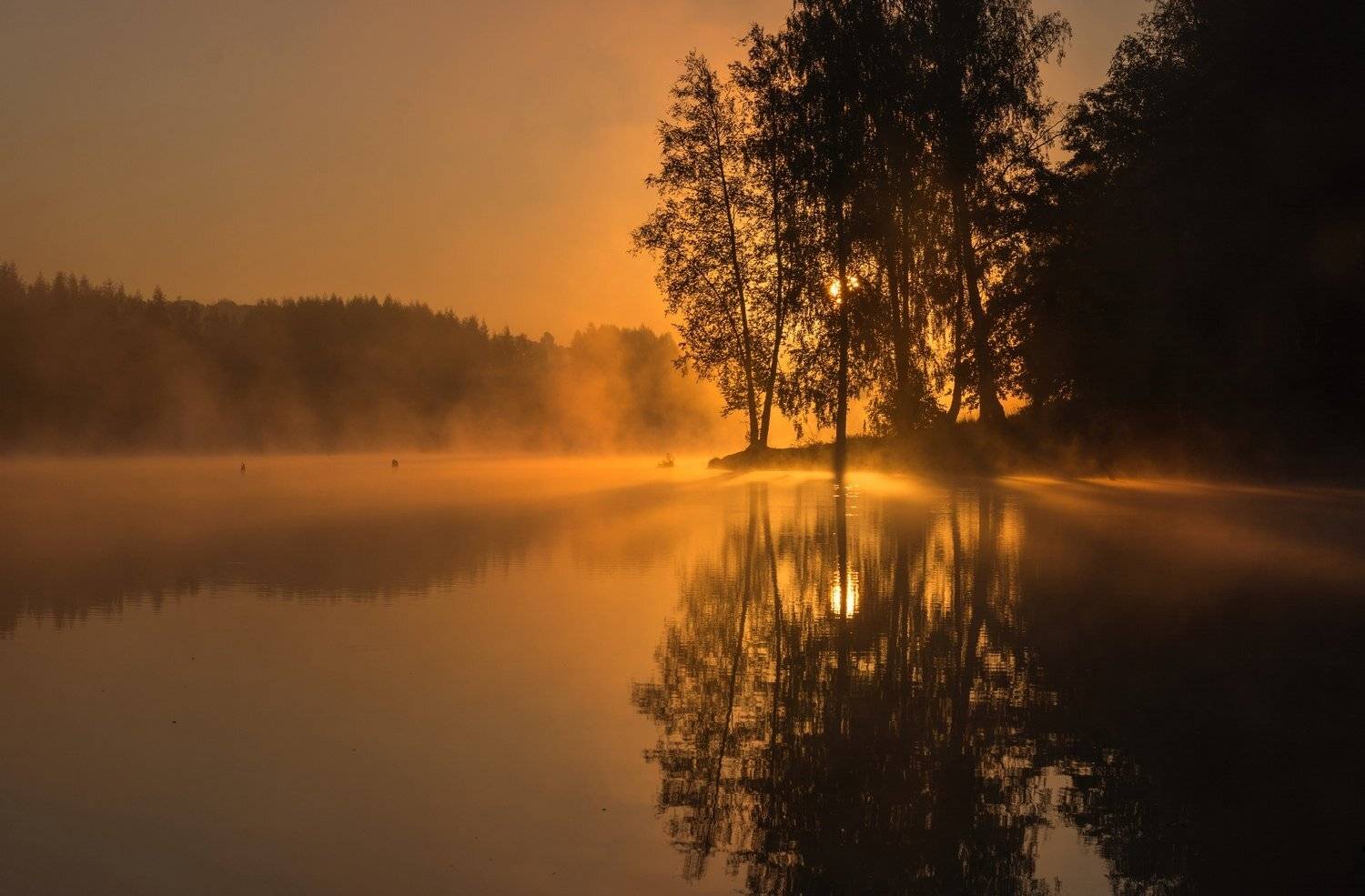 Светает. Автор: Руслан Сигушин , Руслан Сигушин