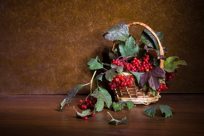 Натюрморт с калинойphoto preview