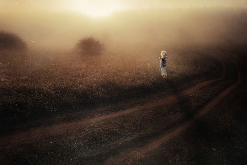 У дорогиphoto preview