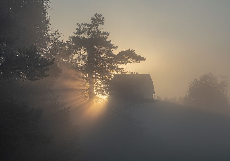 Туманное утроphoto preview