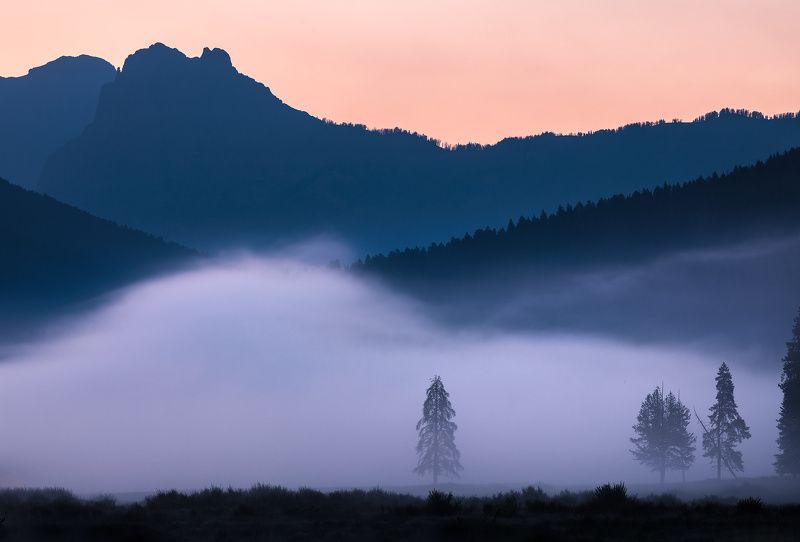 Blue Wavephoto preview