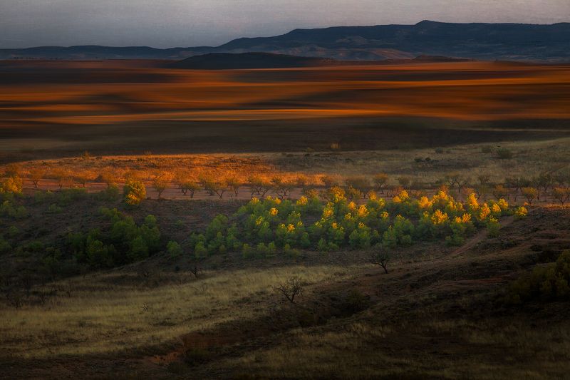 испания, пейзаж, цвет, утро Раскрашивая первыми лучами солнцаphoto preview