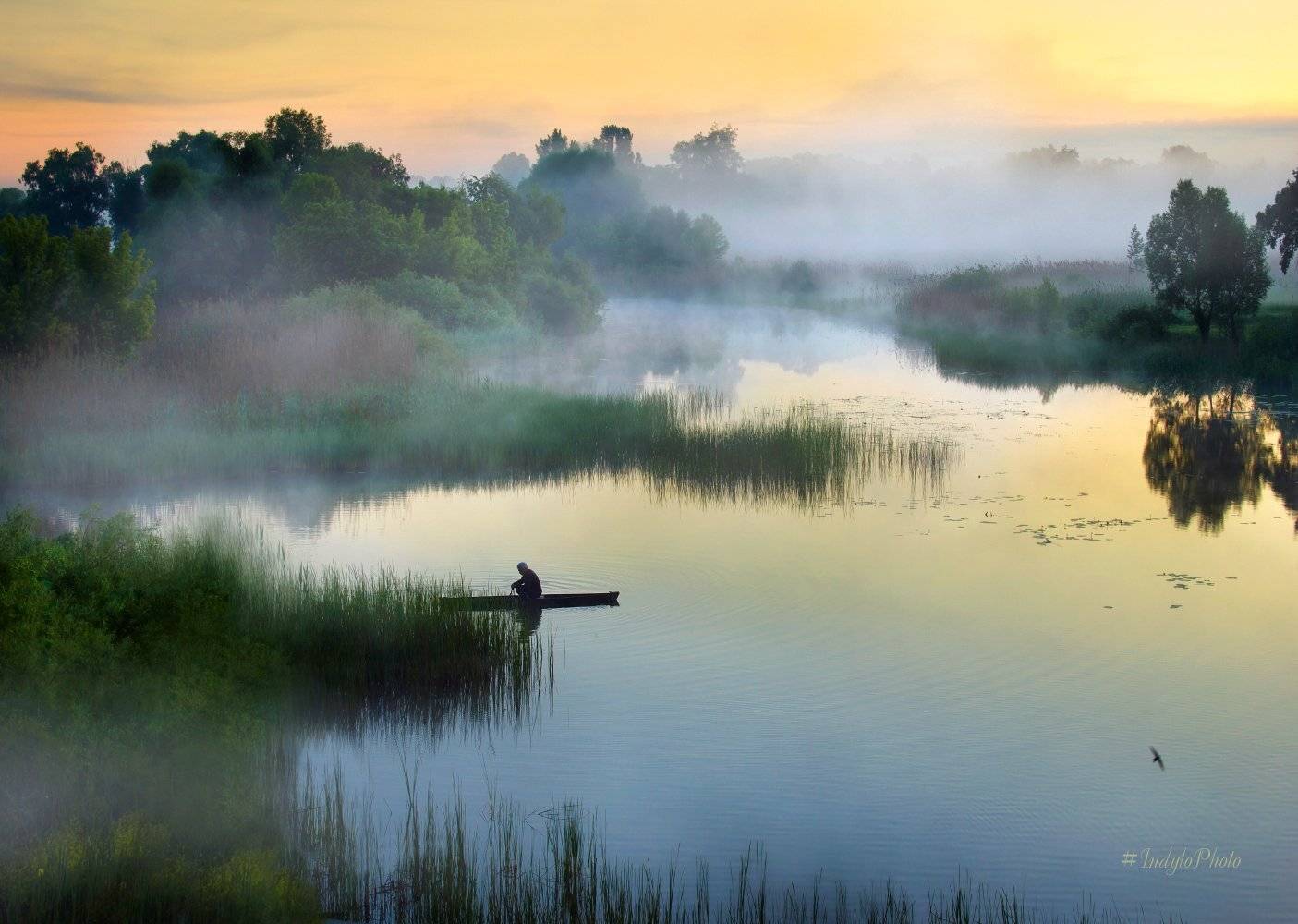 Кто не спит... тот рыбку ловит!. Автор: Александр Индыло , Александр Индыло