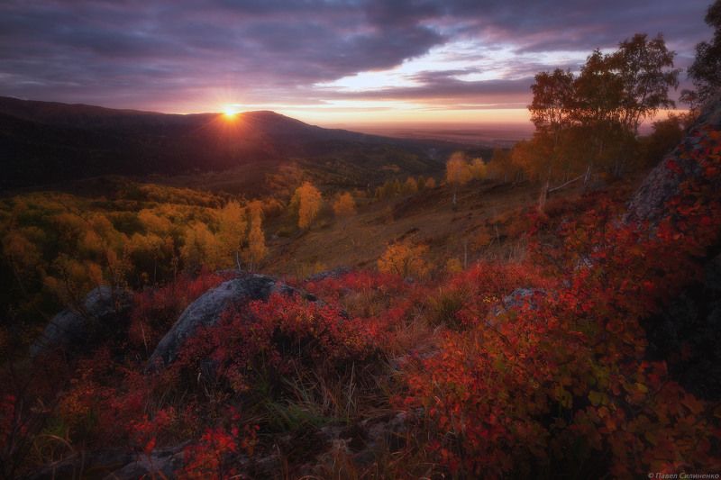 пейзаж, осень, лес, свет, солнце, желтый, алтай Осенний закат фото превью
