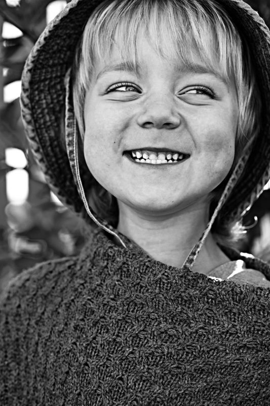 son of the sunphoto preview