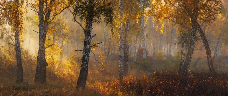 Аромат сентябряphoto preview