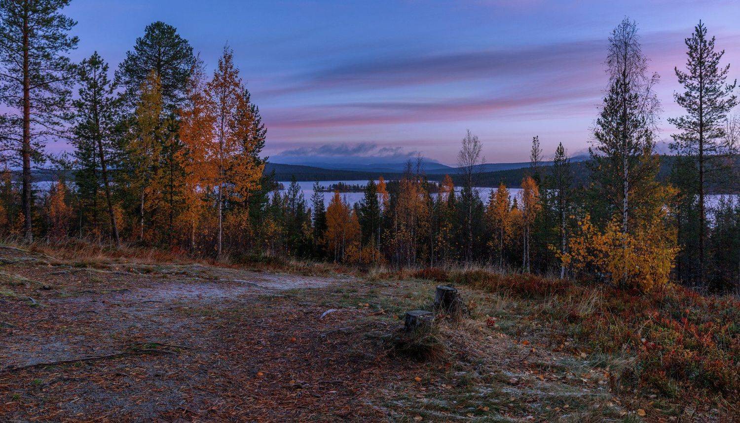 утро осени. Автор: Evalds Kivlenieks , Evalds Kivlenieks