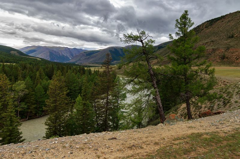 Однажды хмурым днём...photo preview