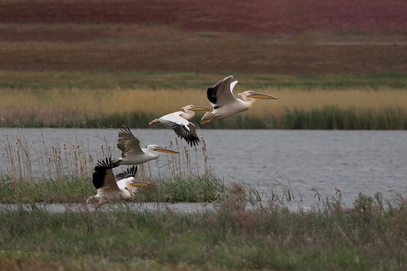 на взлетphoto preview