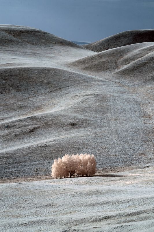 инфракрасный, пейзаж, фильтр, Олег_Грачёв, Oleg_Grachev, infrared, landscape IRреальный мир Олега Грачёваphoto preview