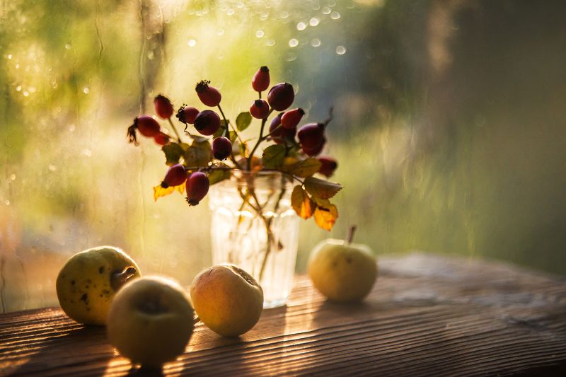 ************photo preview