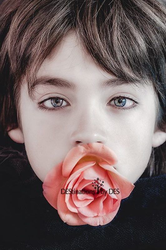 rose, portrait, boy , art,  Rosephoto preview