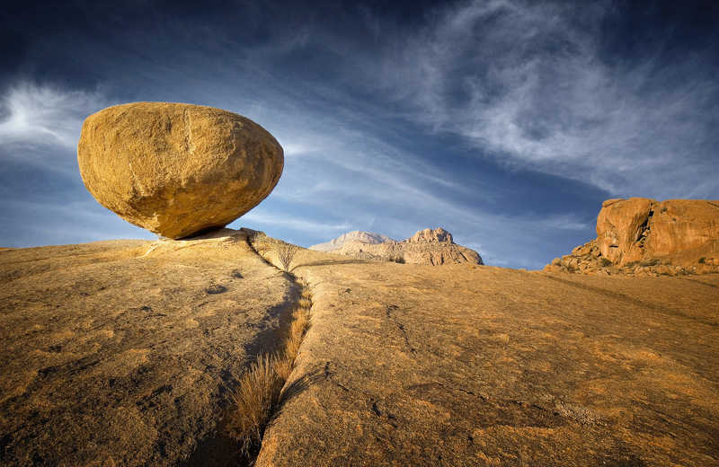 Bulls Partyphoto preview