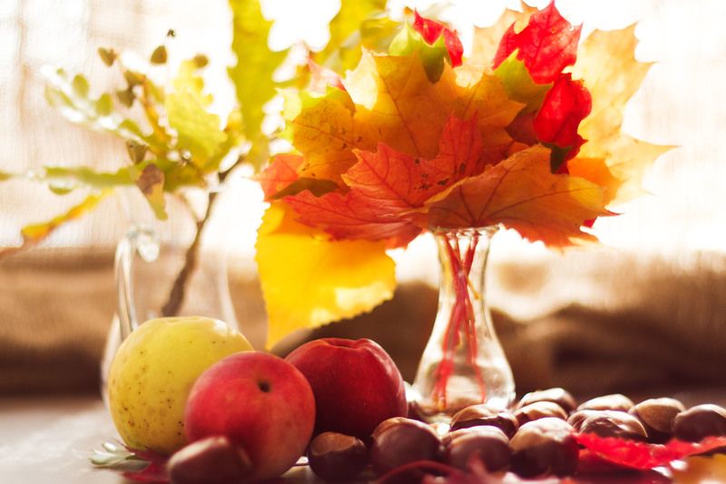 осенние листьяphoto preview