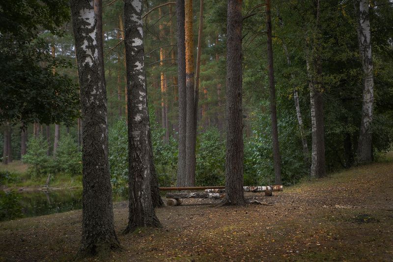 саврасово осень вечер Мелодии не слышен звук...photo preview