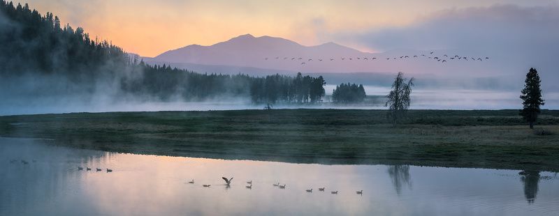 Wild Calmphoto preview