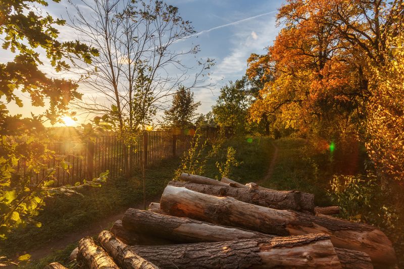 минск, беларусь, роща, осень, прогулка Прогулка в Рощеphoto preview