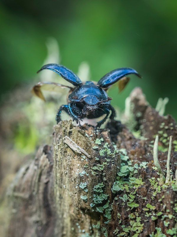 на  взлётphoto preview