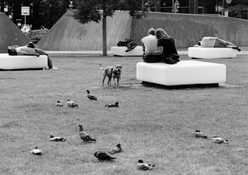 Hamburg parkphoto preview