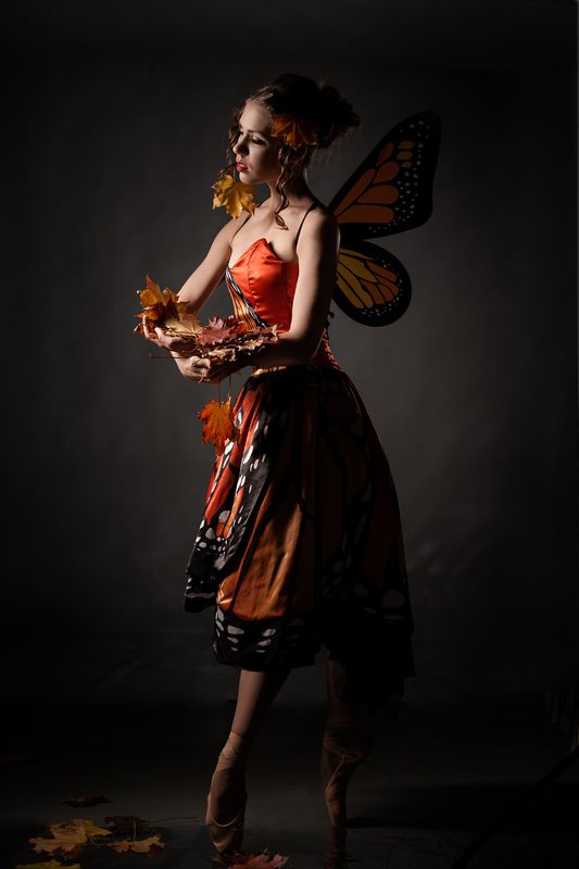 танец, осень, листья, бабочка, портрет, художественная, концептуальное, балет, тело, романтическая, постановочная, лирическая, art, davydov, фотостудия Танец бабочки (Прощание с летом).photo preview