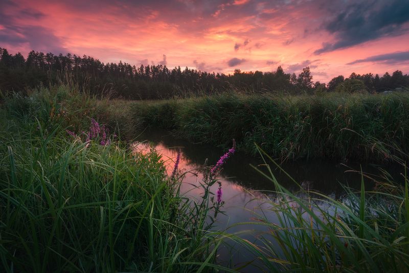 water sky clouds sunrise river wildflowers poland podlasie mood light colors Summer memory...photo preview