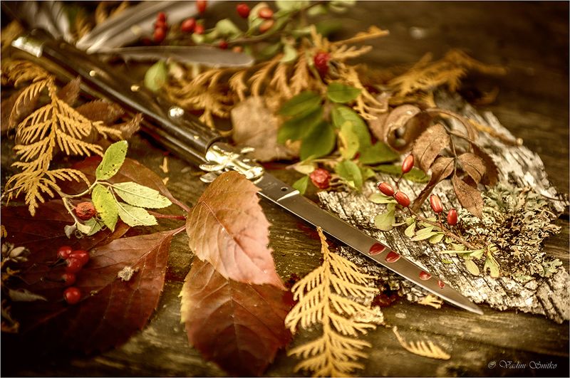 Italiano stilettophoto preview