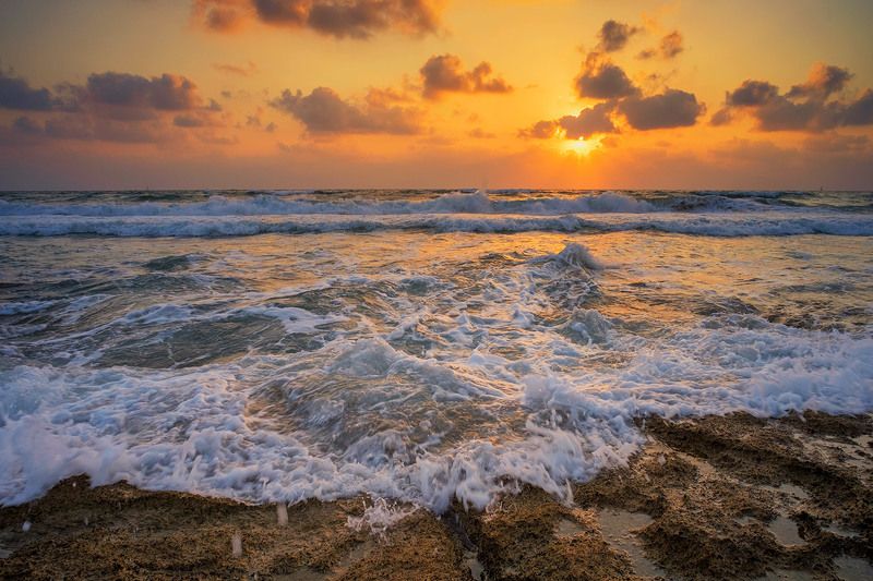 море, пена, закат , солнце. Пенная медуза заката..photo preview