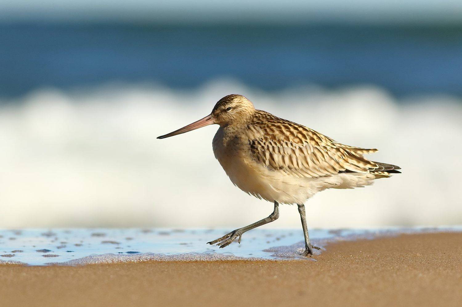 Автор: Łukasz Sokół , Łukasz Sokół