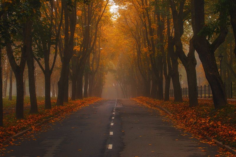 осень, нарва, пейзаж, ключенков, цвет, атмосфера Нарвская осеньphoto preview