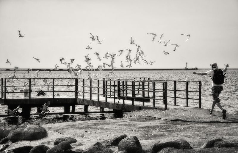 Если птице отрезать руки...photo preview