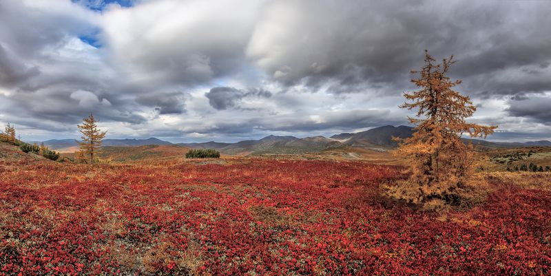 Осень.photo preview