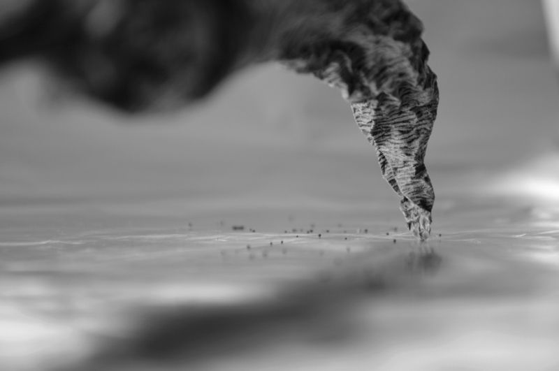 tornado, conceptual, b&w, торнадо, концептуальный Tornadophoto preview